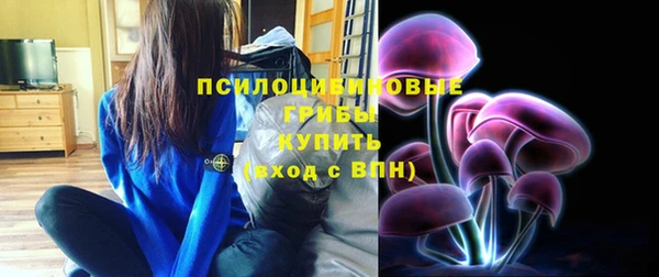 герыч Алексин