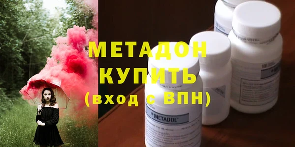 стаф Алзамай