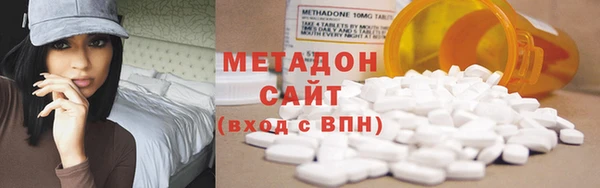 стаф Алзамай
