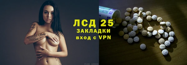 стаф Алзамай