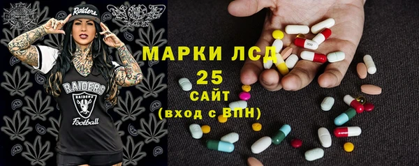 стаф Алзамай