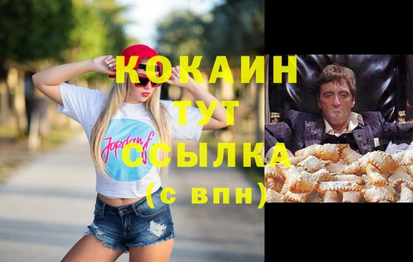 стаф Алзамай