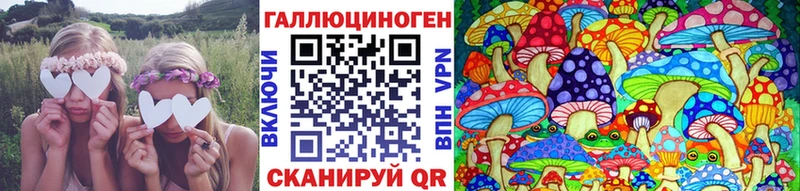 Псилоцибиновые грибы мицелий Грязовец